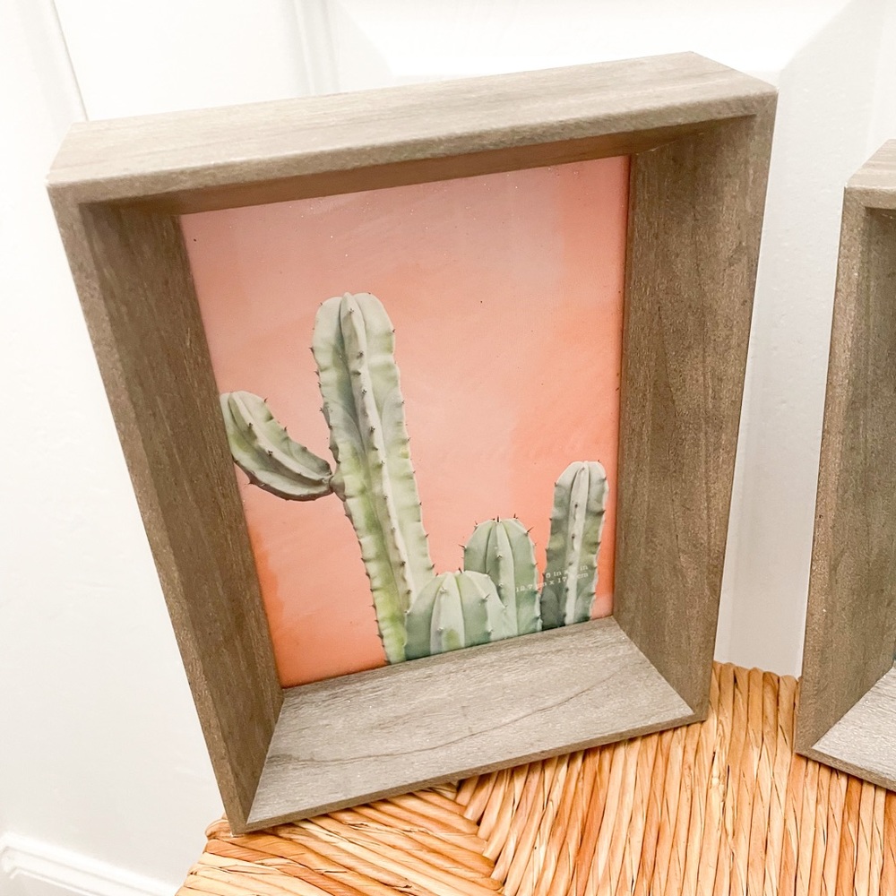 Cactus wall pictures